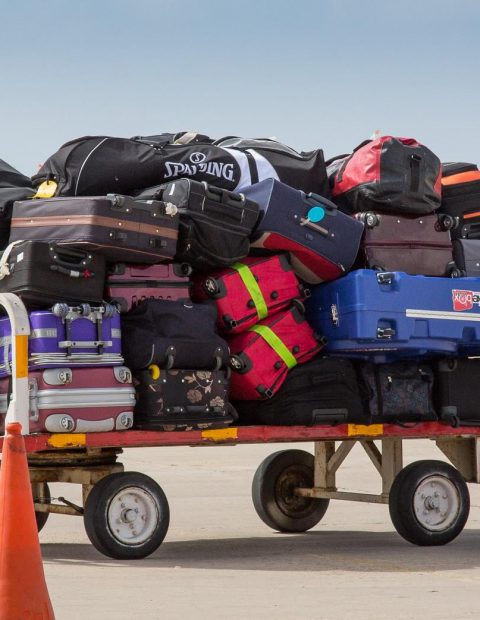 81837442 2702911709752505 6299587502667726848 n