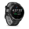 ForerunnerÂ® 965 3-1
