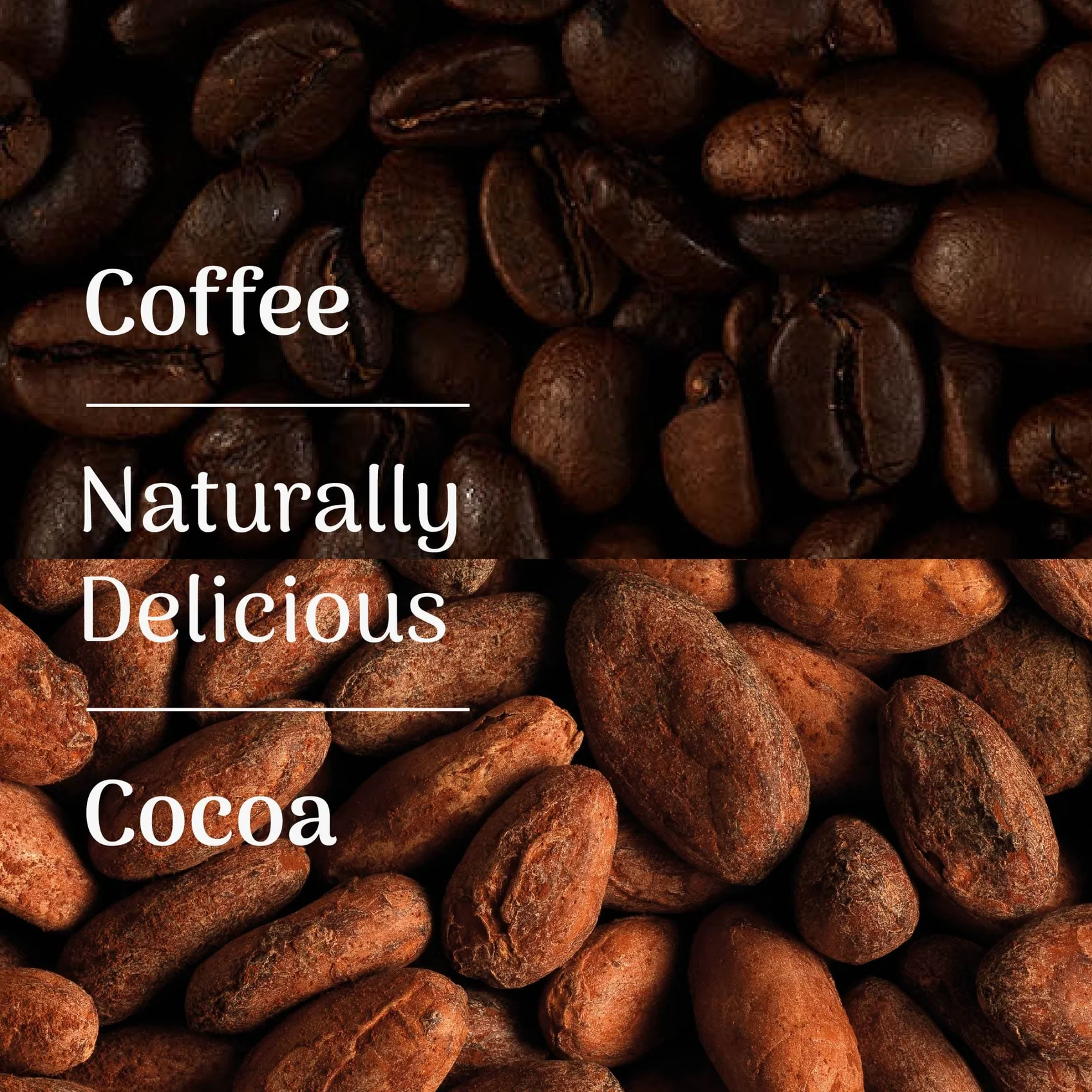 veloforte-recovery-protein-bars-mocha-protein-recovery-bar-1173205849.jpg
