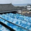 im703dali_gallery home_image8.jpg